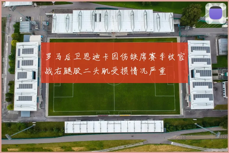罗马后卫恩迪卡因伤缺席赛季收官战右腿股二头肌受损情况严重