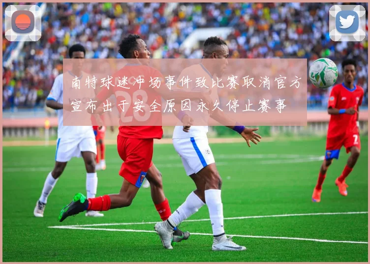南特球迷冲场事件致比赛取消官方宣布出于安全原因永久停止赛事